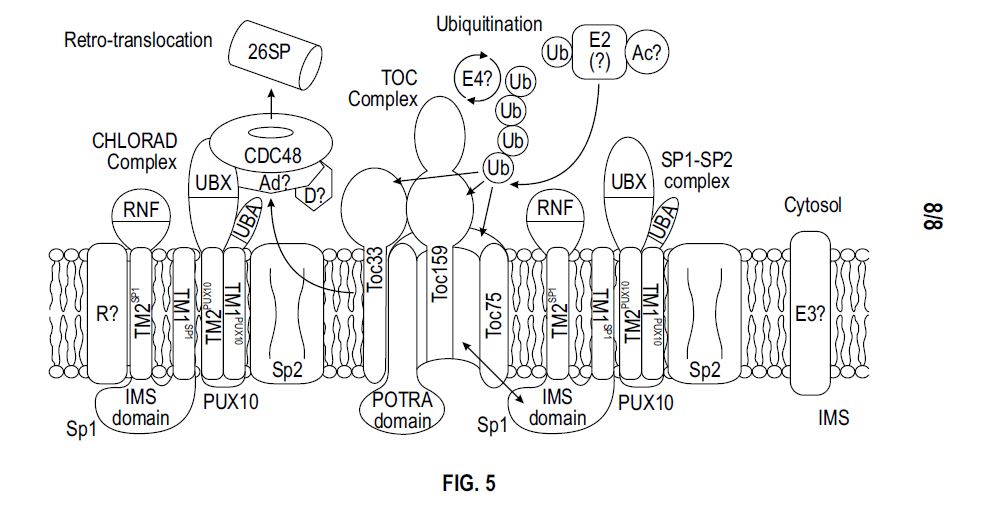 FIG. 36 — Software UI Patent Drawing: Analytics Dashboard