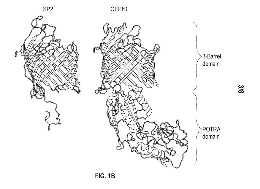 Chemical & Molecular Drawings — Real Patent Drawing Sample